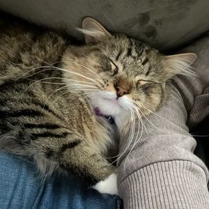 Meet your Posher, Katherine